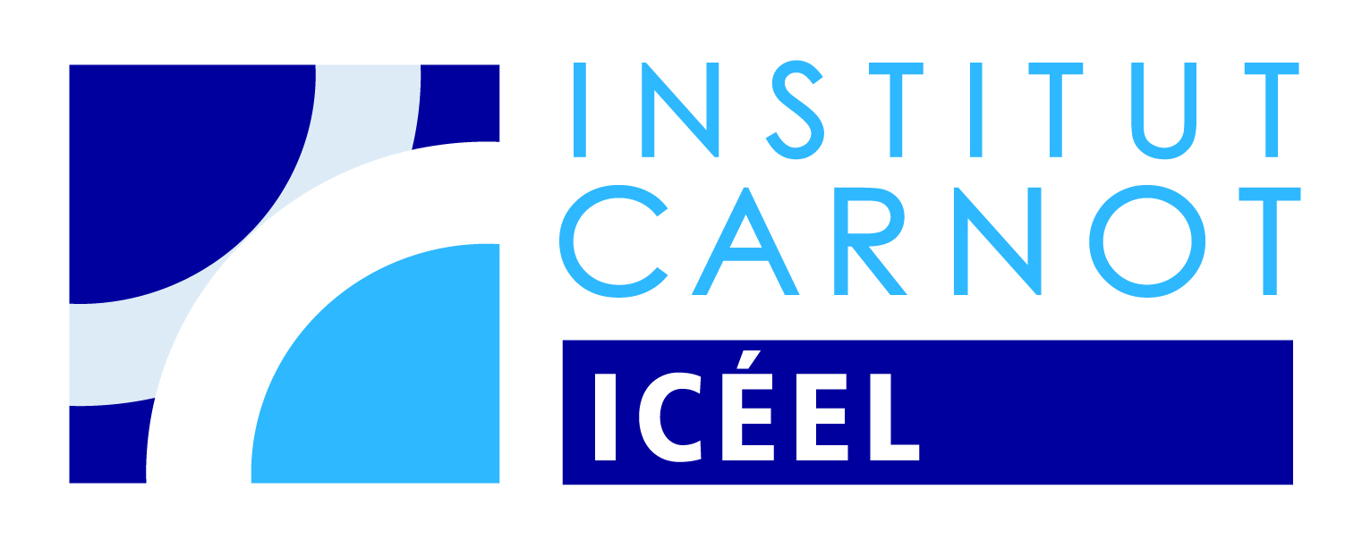 logo de l'ICEEL