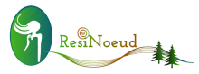 You are currently viewing Lancement du projet Résinœud, un projet structurant de la filière bois : du bois brut aux cosmétiques !