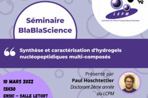 [Scientific seminar] Synthesis and characterization of multi-component nucleopeptide hydrogels
