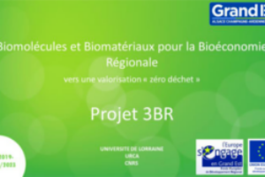 Le LRGP est partenaire du Projet 3BR : Valorisation maximale des coproduits des filières chanvre, houblon et oléagineux dans un objectif zéro déchets.