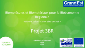You are currently viewing Le LRGP est partenaire du Projet 3BR : Valorisation maximale des coproduits des filières chanvre, houblon et oléagineux dans un objectif zéro déchets.