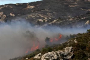 Des incendies en France en plein hiver : “La végétation ne se remet pas de la canicule de cet été”