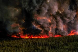 Canada: des méga-feux de forêts incontrôlés ravagent le Québec