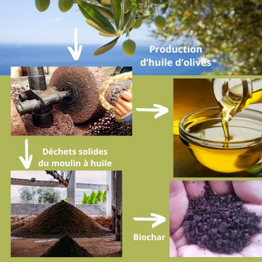 You are currently viewing L’industrie de l’huile d’olive dans la région méditerranéenne : du déchet à la ressource !