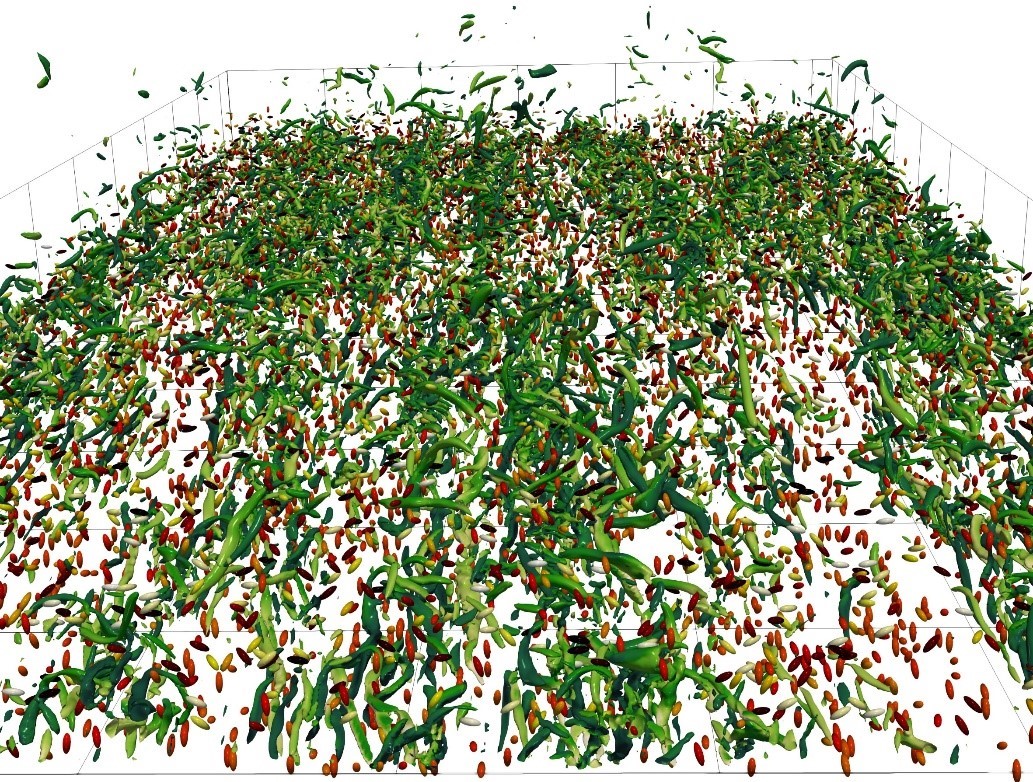 You are currently viewing ANR 2024 | Zoom sur le projet ICoPEC pour l’étude d’interactions inter-particulaires complexes