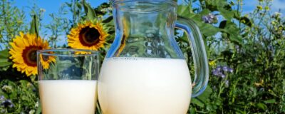 Le lait, un ami pour la vie ? Avec Laurent Miclo, enseignant chercheur, spécialiste de l’alimentation