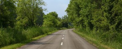 Roadsides: how nature reclaims its rights