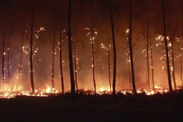 Incendie : connaissez-vous les feux zombies ?