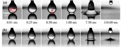 The first microseconds of droplet coalescence on a liquid surface (LRGP)