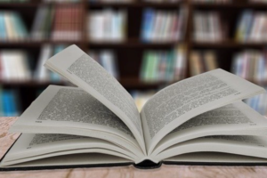 ERPI – Call for papers :  European Perspectives Innovation Management