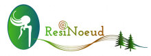You are currently viewing Launch of the Résinœud project, a structuring project for the wood industry: from raw wood to cosmetics!