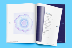 Carnot Icéel’s activity report for the year 2020 is available on line