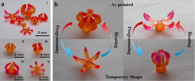 You are currently viewing LRGP – L’impression 4D