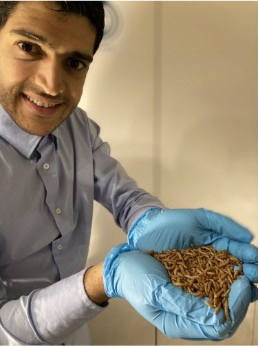 You are currently viewing LRGP – Des insectes dans l’assiette : la start-up EntoInnov reçoit l’appui de l’Europe