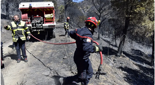 You are currently viewing INFOGRAPHIES – Are forest fires occurring earlier and earlier in the year?