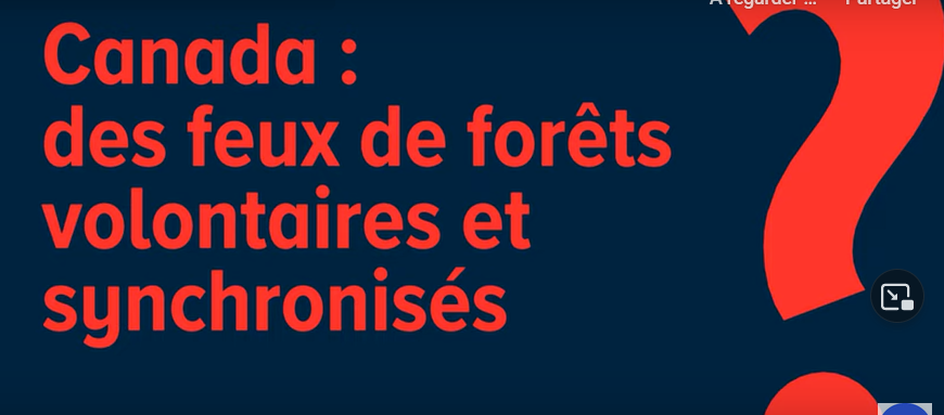 You are currently viewing À Vrai Dire #TV5MONDE | Orchestrated fires ?