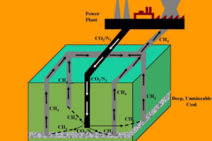 Tien Dung LE, winner of Université de Lorraine’s Émergence/Exploratoire 2023 call for projects