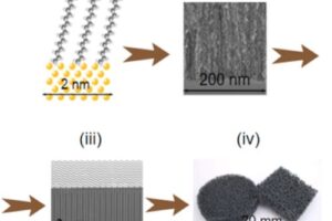 [ANR 2023] Focus on the new PROMENADE project