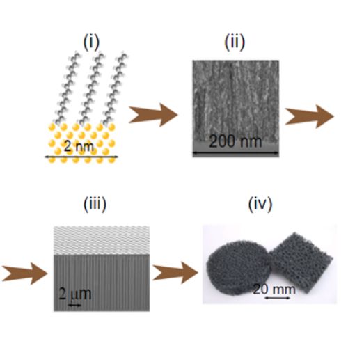 You are currently viewing [ANR 2023] Zoom sur le nouveau projet PROMENADE