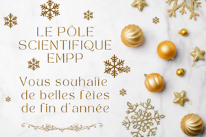 Bonnes fêtes de fin d’année