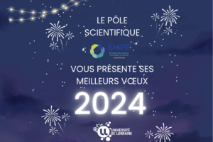 Meilleurs Vœux 2024