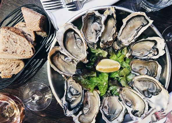 You are currently viewing What you need to know about oysters