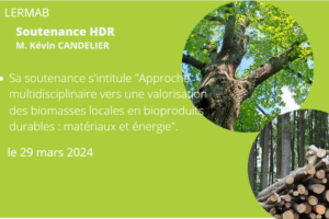 Habilitation to supervise research by Kévin CANDELIER – LERMAB