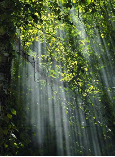 You are currently viewing Dossier : Et la lumière fut – Pour Prévenir et guérir (LRGP)