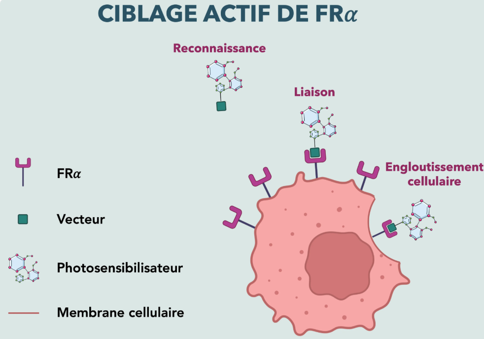 You are currently viewing Une nouvelle thérapie lumineuse pour vaincre un cancer des plus meurtrier