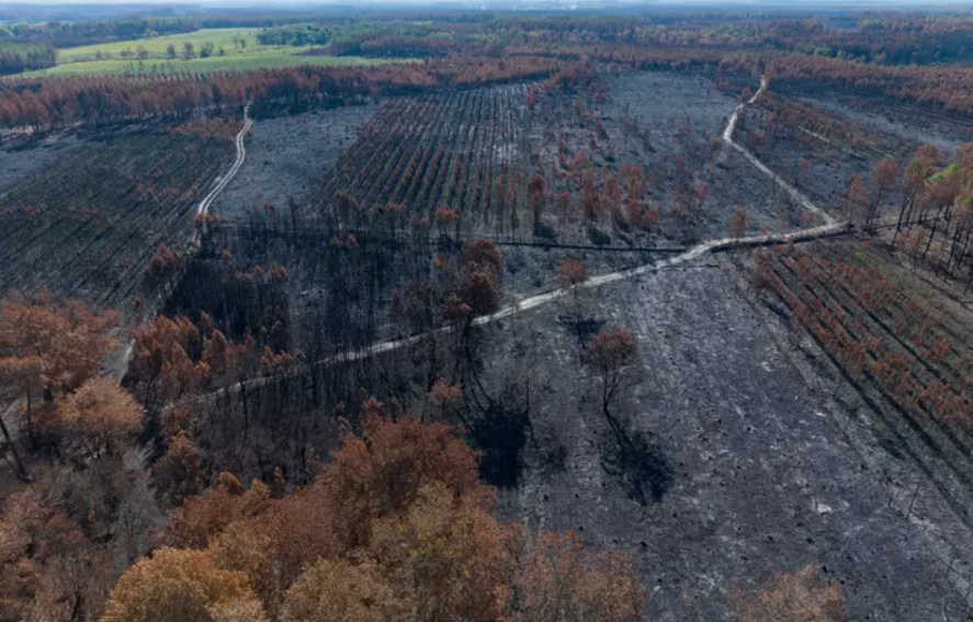 You are currently viewing Feux zombies en Gironde : « Ces incendies souterrains vont se multiplier »