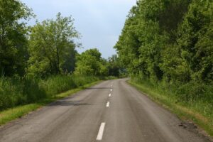 Roadsides: how nature reclaims its rights