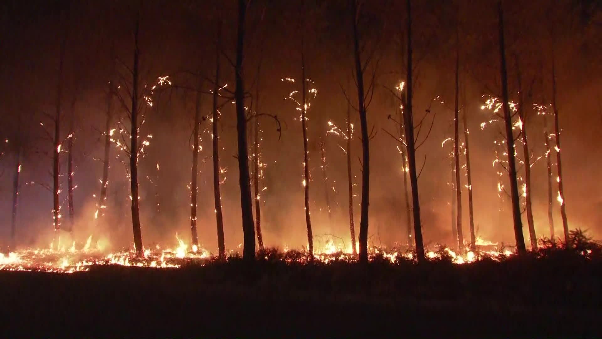 You are currently viewing Incendie : connaissez-vous les feux zombies ?