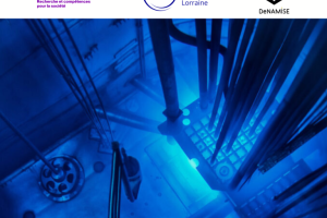 DeNAMISE: Training and Innovation for the Nuclear Energy of Tomorro