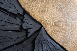 Join the webinar on the extraction, structuring, and application of lignin